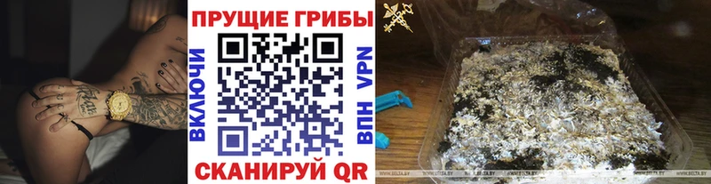 blacksprut рабочий сайт  Лаишево  Галлюциногенные грибы Magic Shrooms 